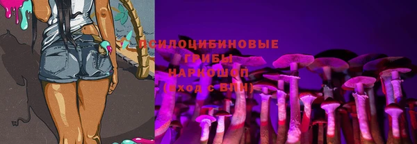 гидропоника Балабаново