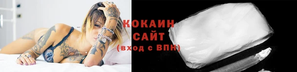 эйфоретик Баксан