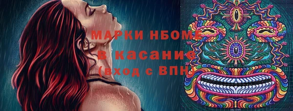 эйфоретик Баксан